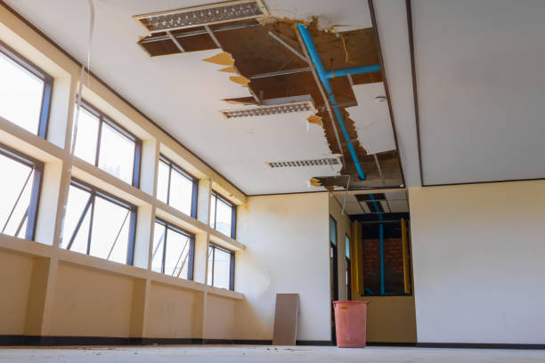 Best Sewage cleanup and water damage restoration  in Riverton, UT