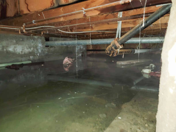 Carpet water damage restoration in Riverton, UT