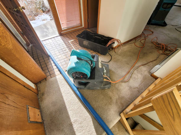 Best Flood restoration services  in Riverton, UT