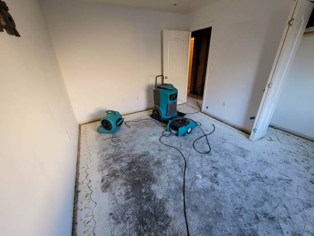 Best Ceiling water damage repair  in Riverton, UT