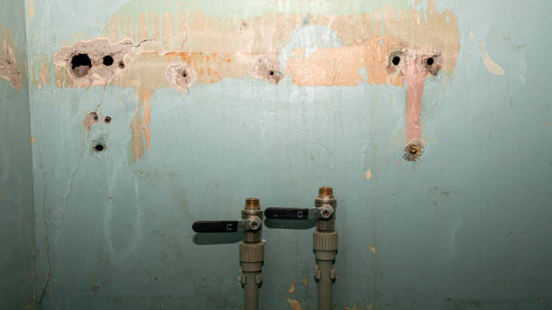 Best Water damage contractors near me  in Riverton, UT