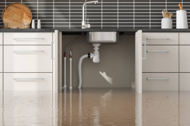 Best Water damage restoration near me  in Riverton, UT
